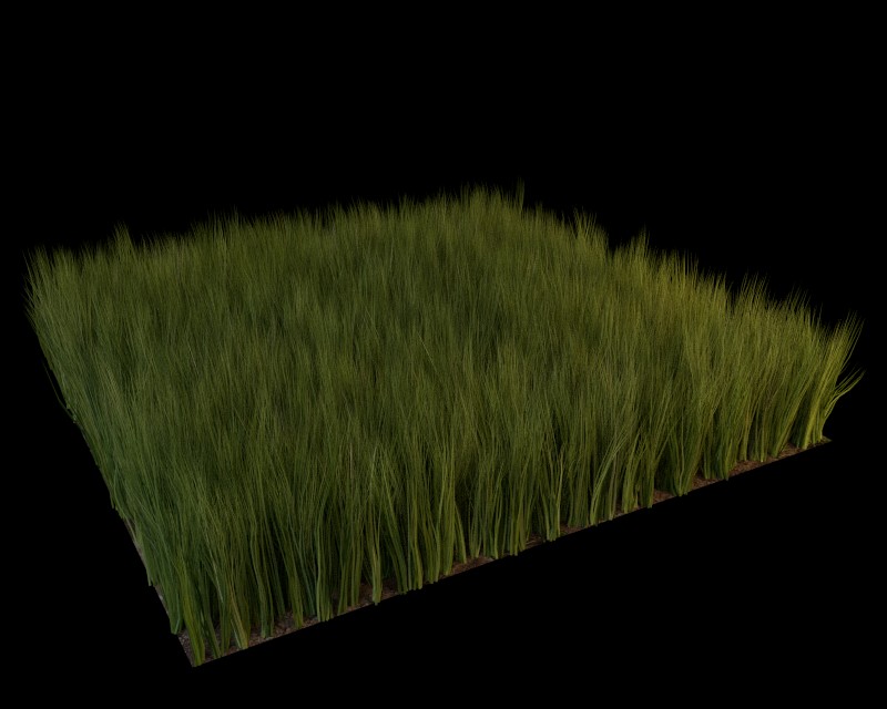 Cycles Grass 3 + Corn preview image 2
